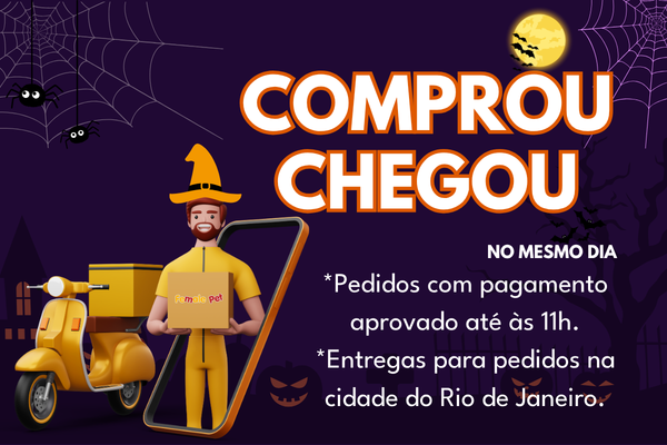 entrega no msm dia mobile